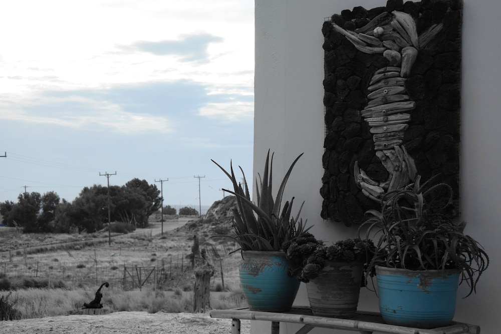 Tropische tuin met palmbomen — Aris Hotel