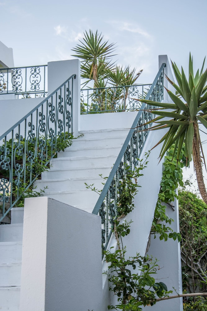 Tropische tuin met palmbomen — Aris Hotel