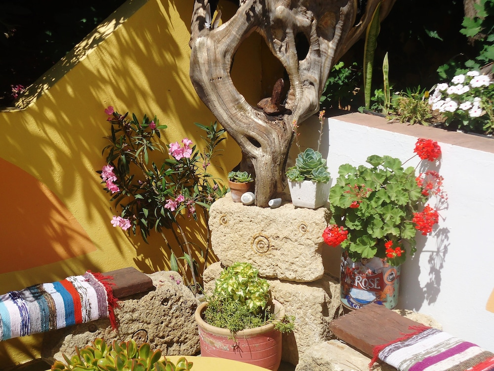 Tropische tuin met palmbomen — Aris Hotel