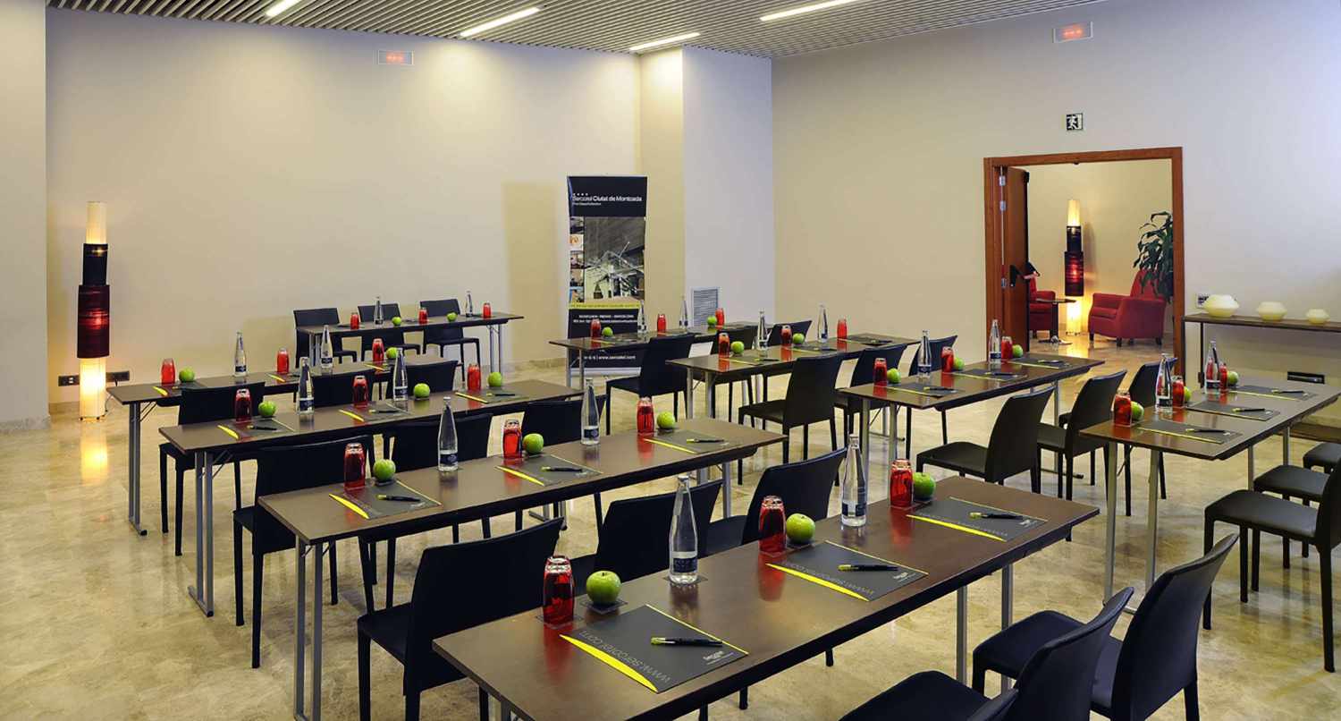 Sercotel Ciutat de Montcada foto 46