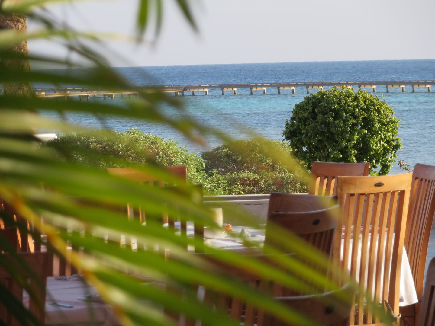 The Breakers Diving & Surfing Lodge foto 9