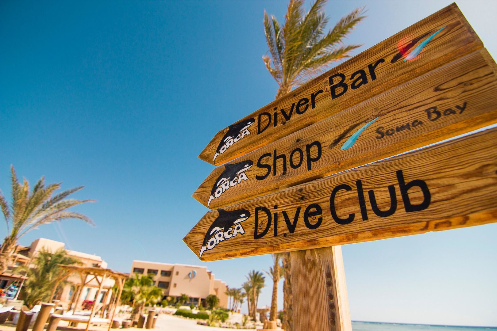 The Breakers Diving & Surfing Lodge foto 18