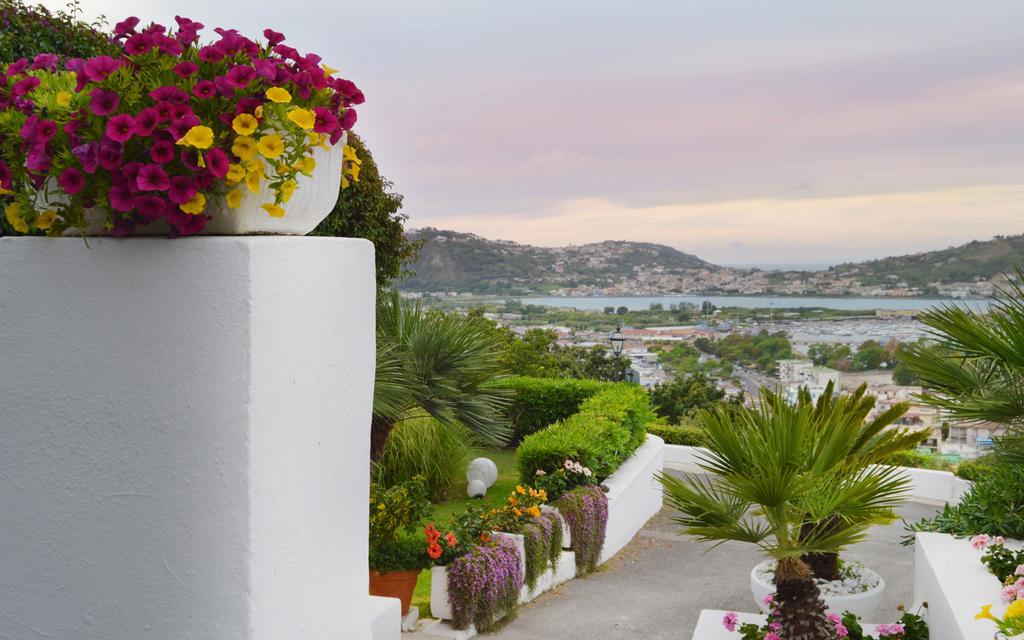 Cala Moresca Hotel foto 18