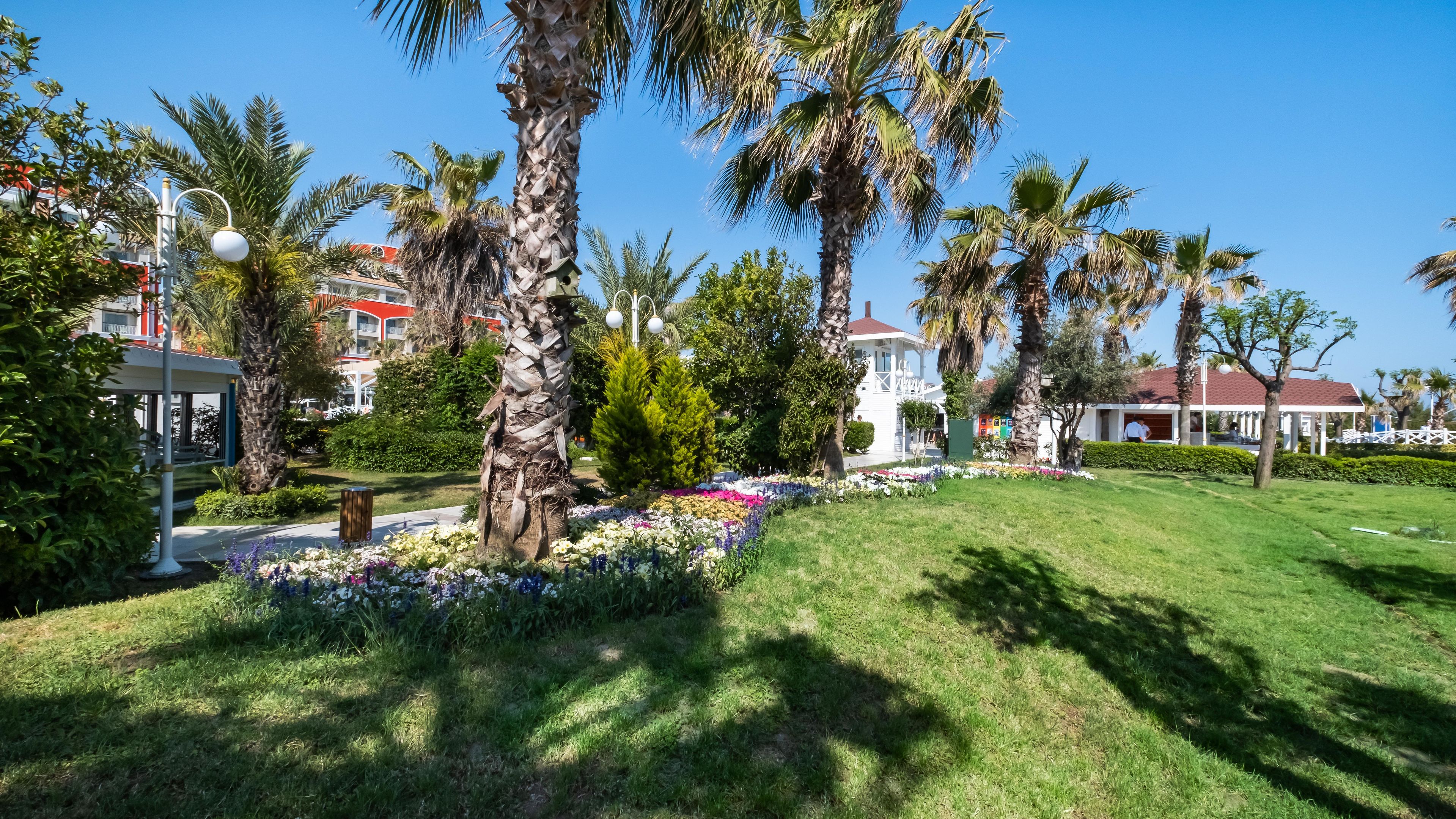 Orange County Belek foto 149