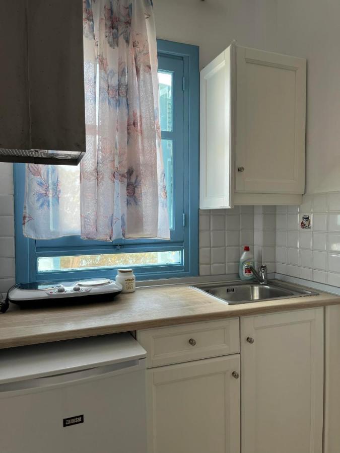 een keuken met een gootsteen en een raam bij Nefeli in Lefkos Karpathou