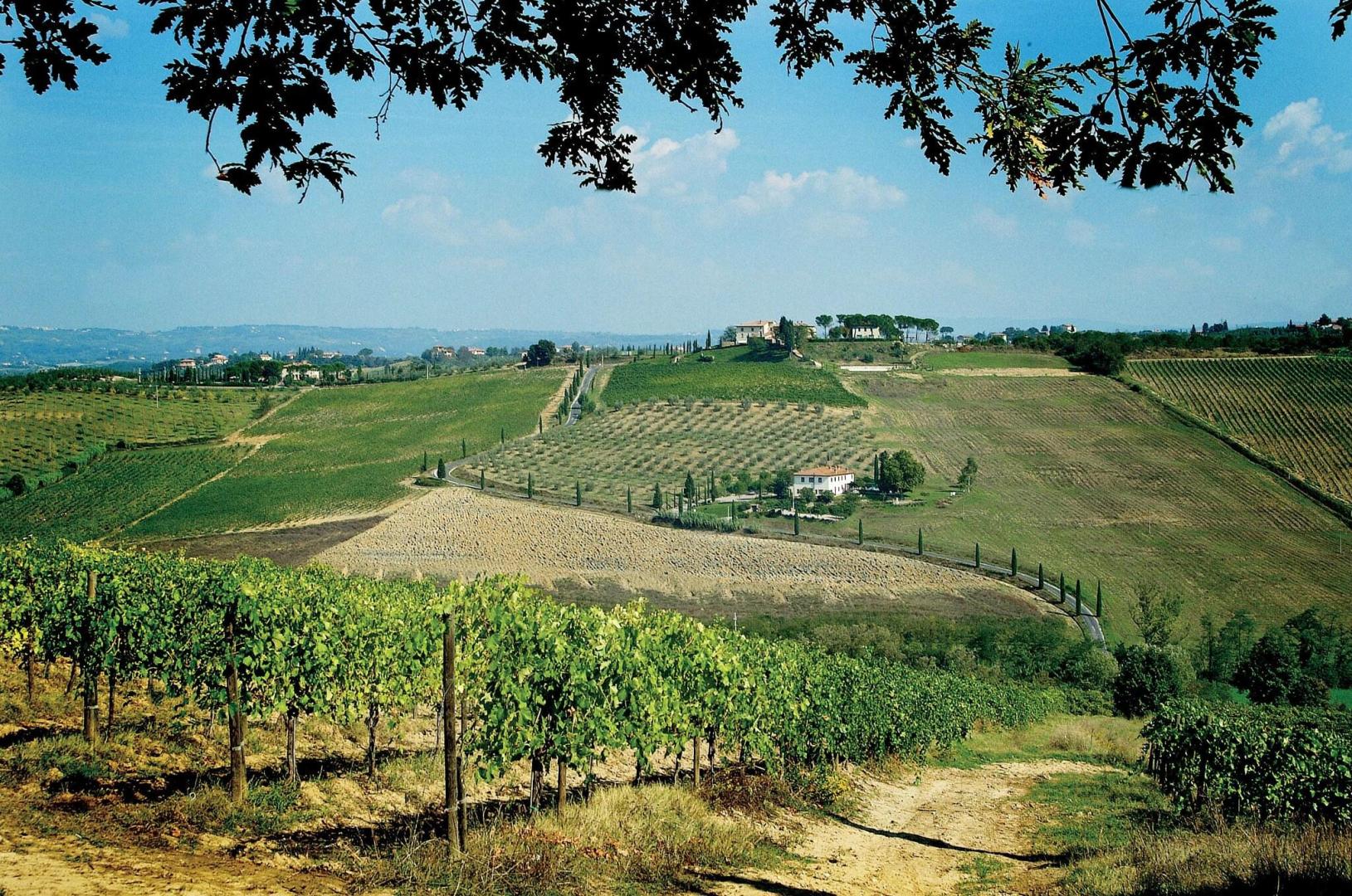 Poderi Arcangelo foto 15