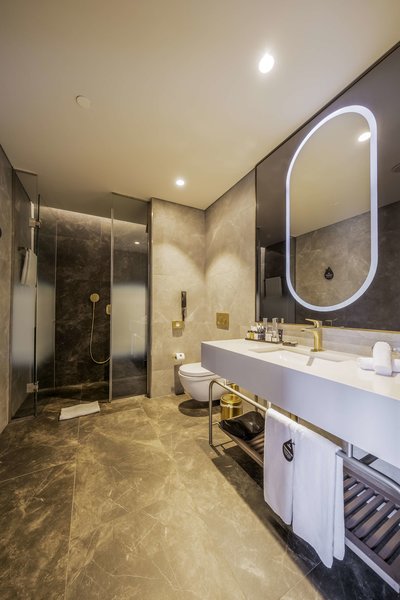Radisson Collection Hotel, Vadistanbul foto 37