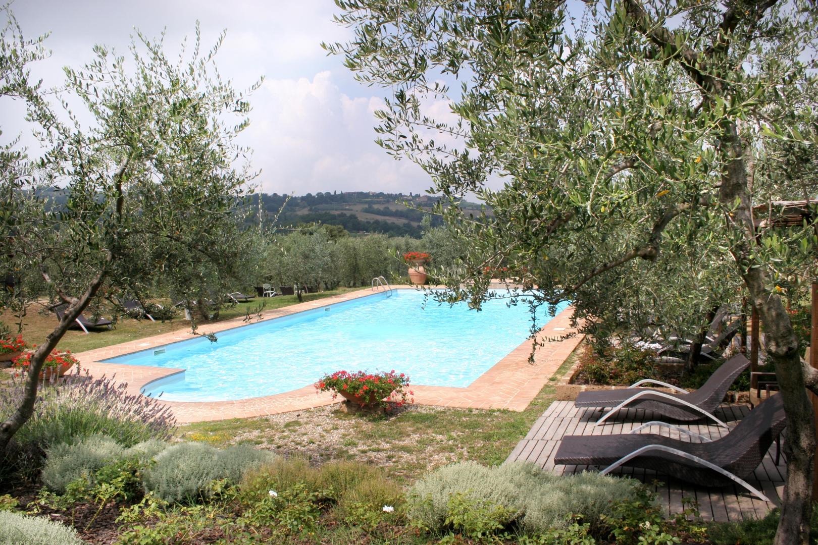 Tenuta Sant'Ilario foto 6