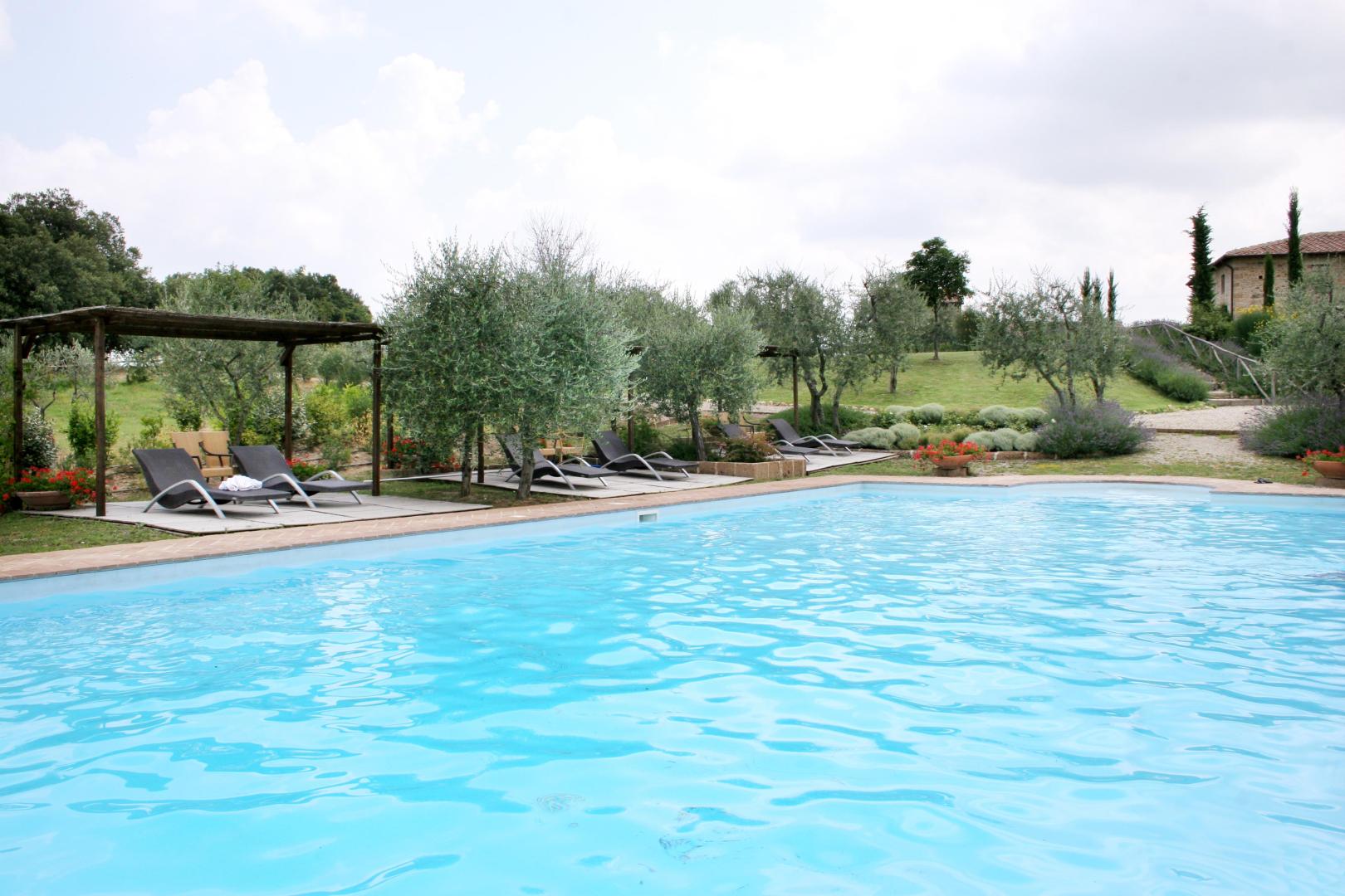 Tenuta Sant'Ilario foto 14