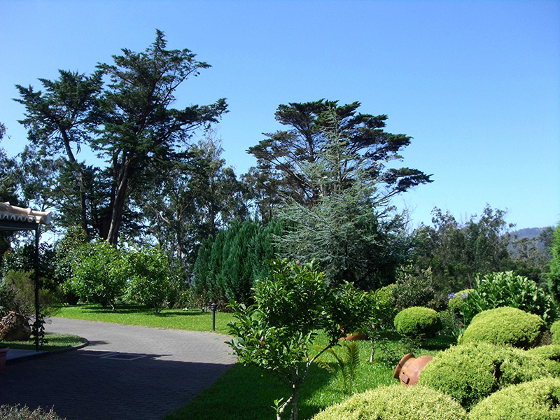 Quinta da Cova do Milho foto 29