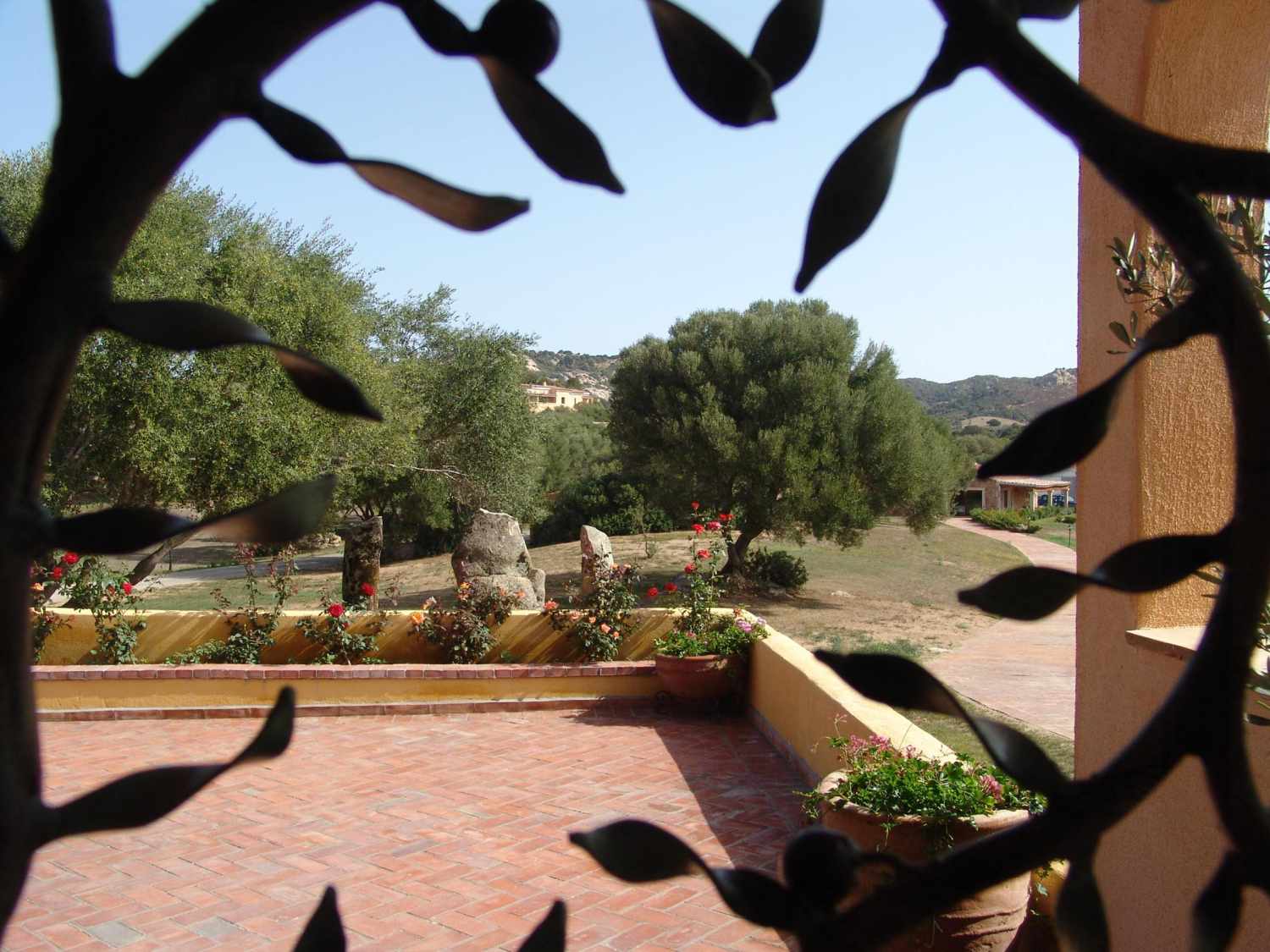 Parco Degli Ulivi foto 16