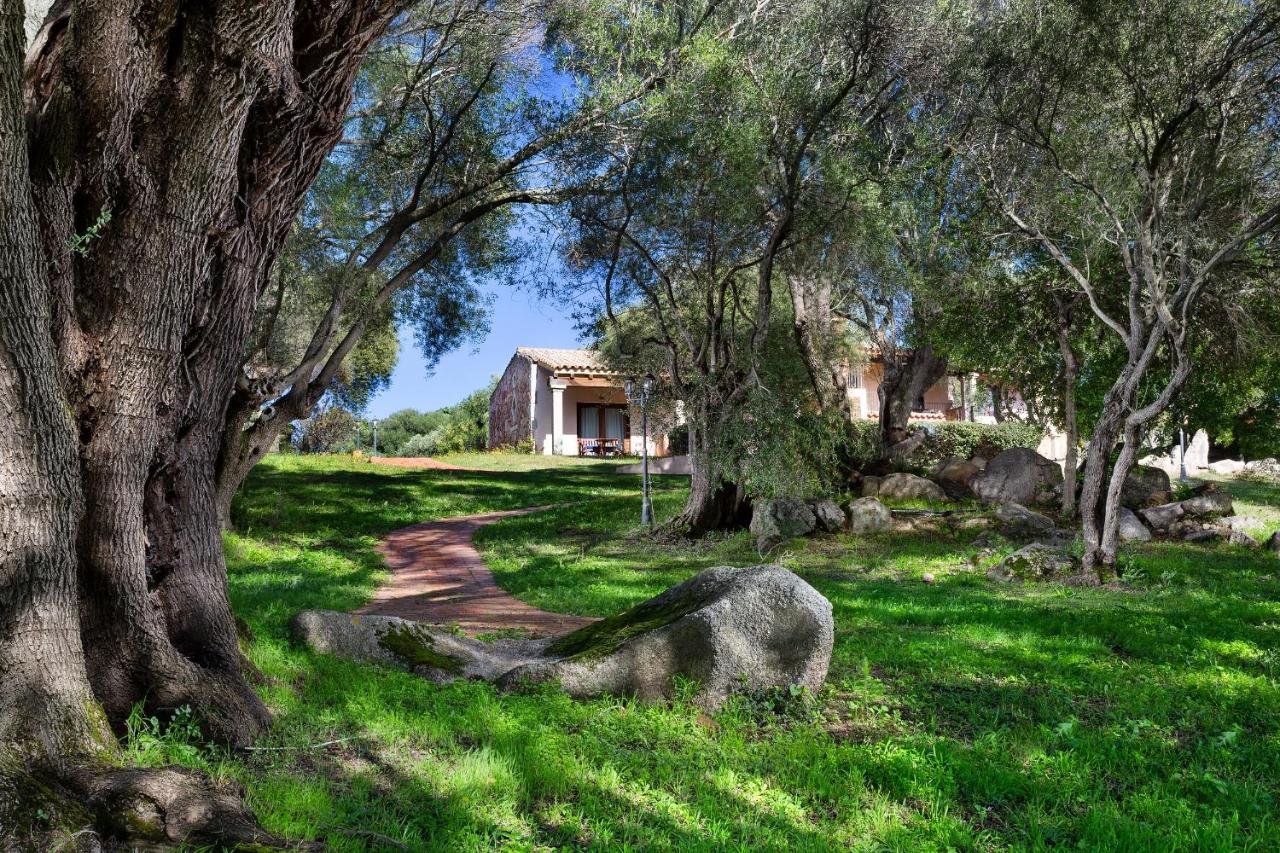 een huis midden in een veld met bomen bij Felix Hotels - Country Resort Parco degli Ulivi in Arzachena