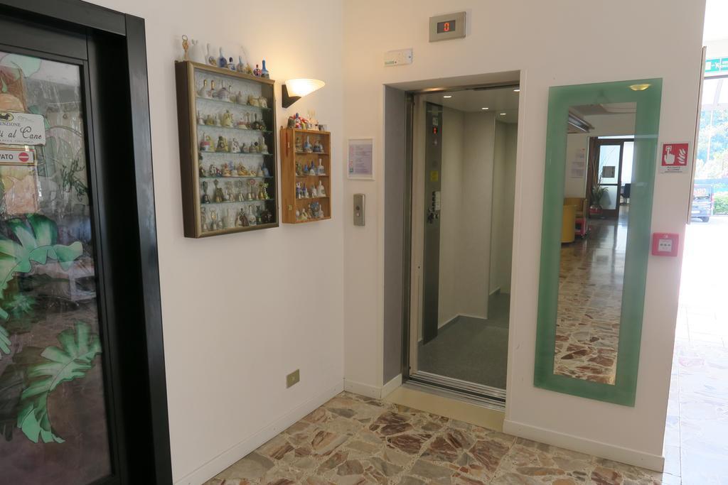 Angelini foto 3
