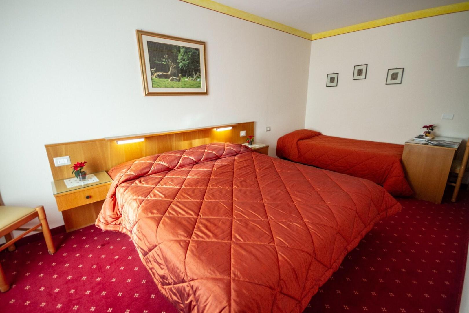 Hotel Stella Alpina foto 9