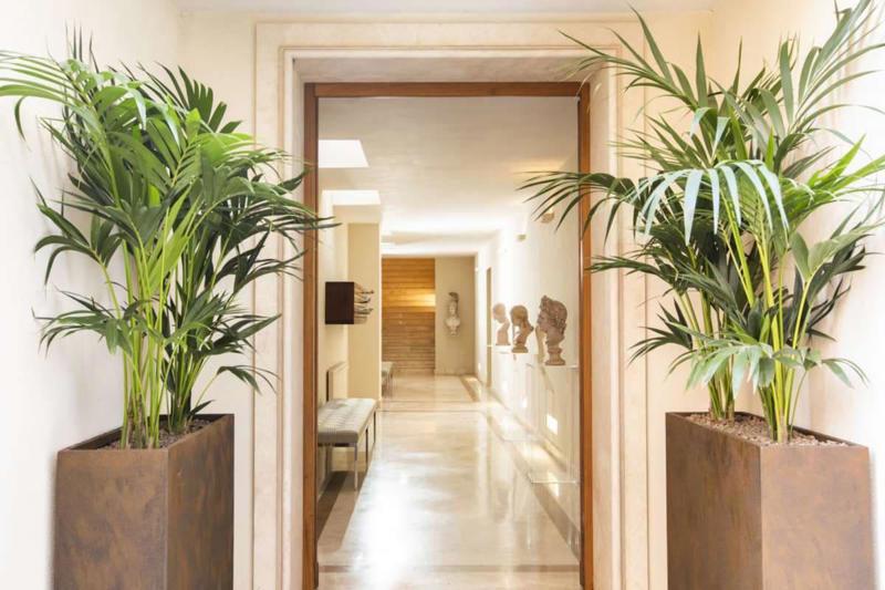 Palm Suites in Rome - foto 4