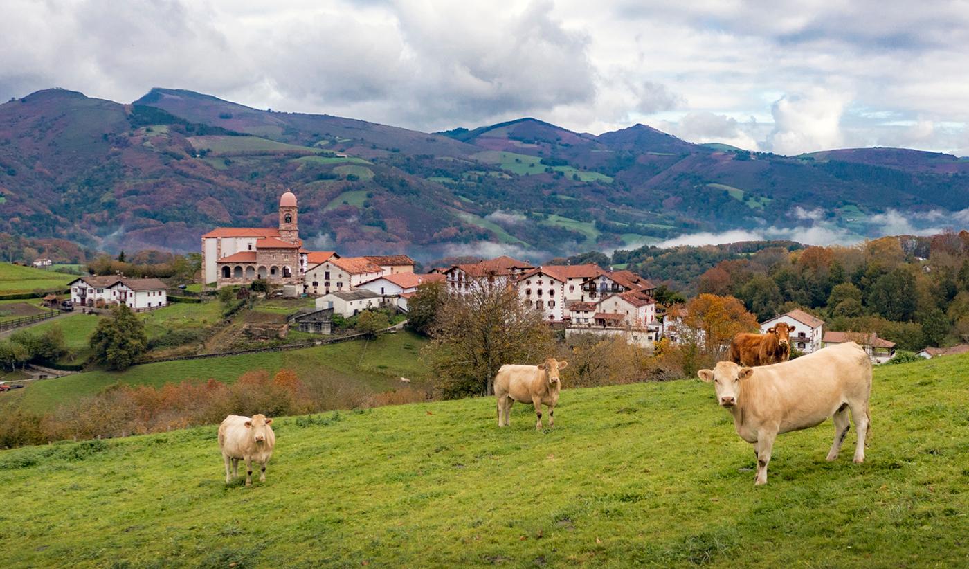 Navarra foto 1