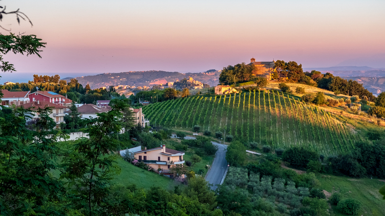Marche foto 1